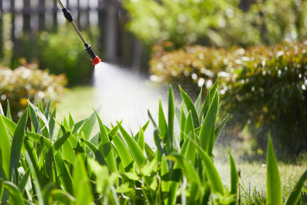 24/7 Emergency Mosquito Control experts in Fairfield Harbour, NC