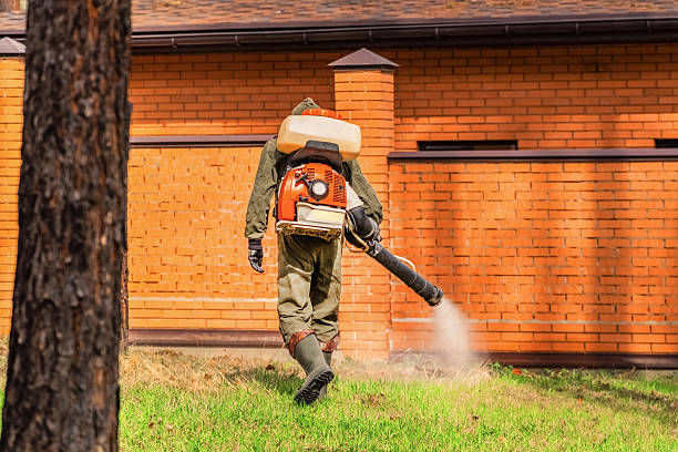Top rated local Mosquito Control specialists in Fairfield Harbour, NC